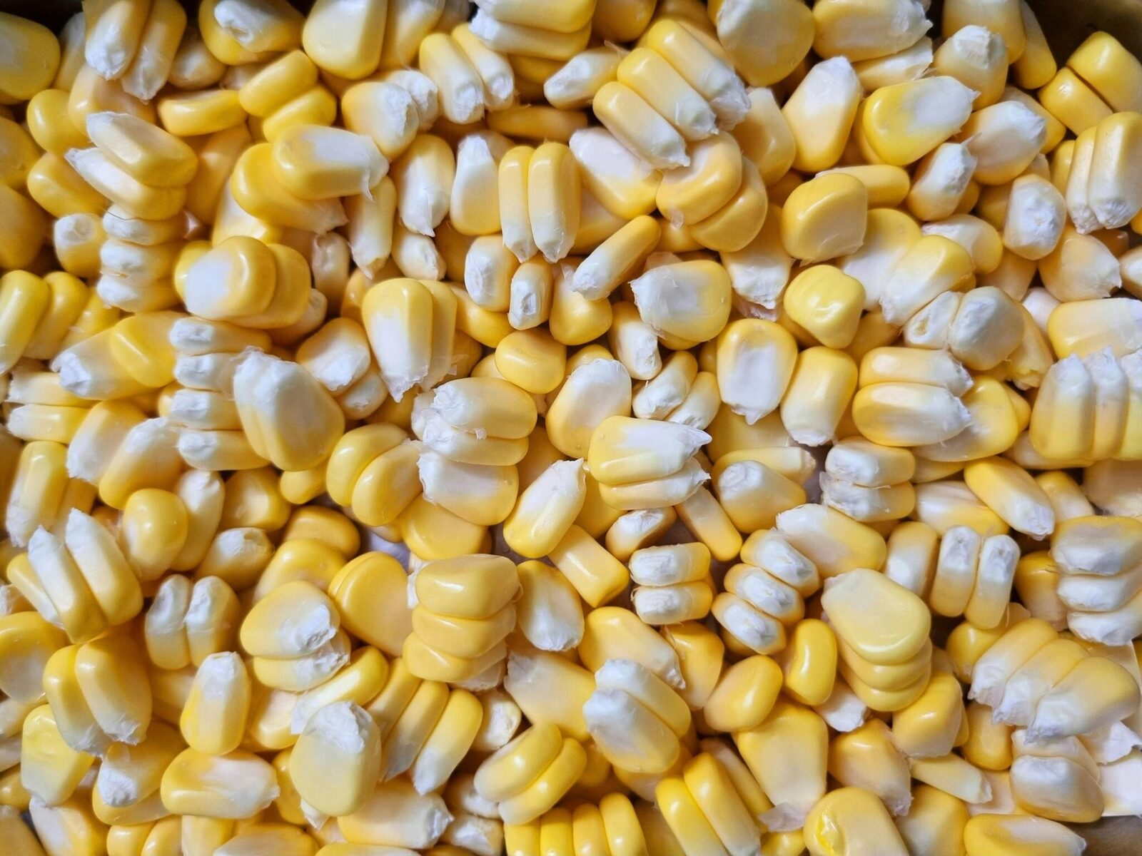 Unlocking the Kernel: The Art and Science of Maize Milling 1 Exploring the Anatomy of Maize Kernels and Their Nutritional Secrets