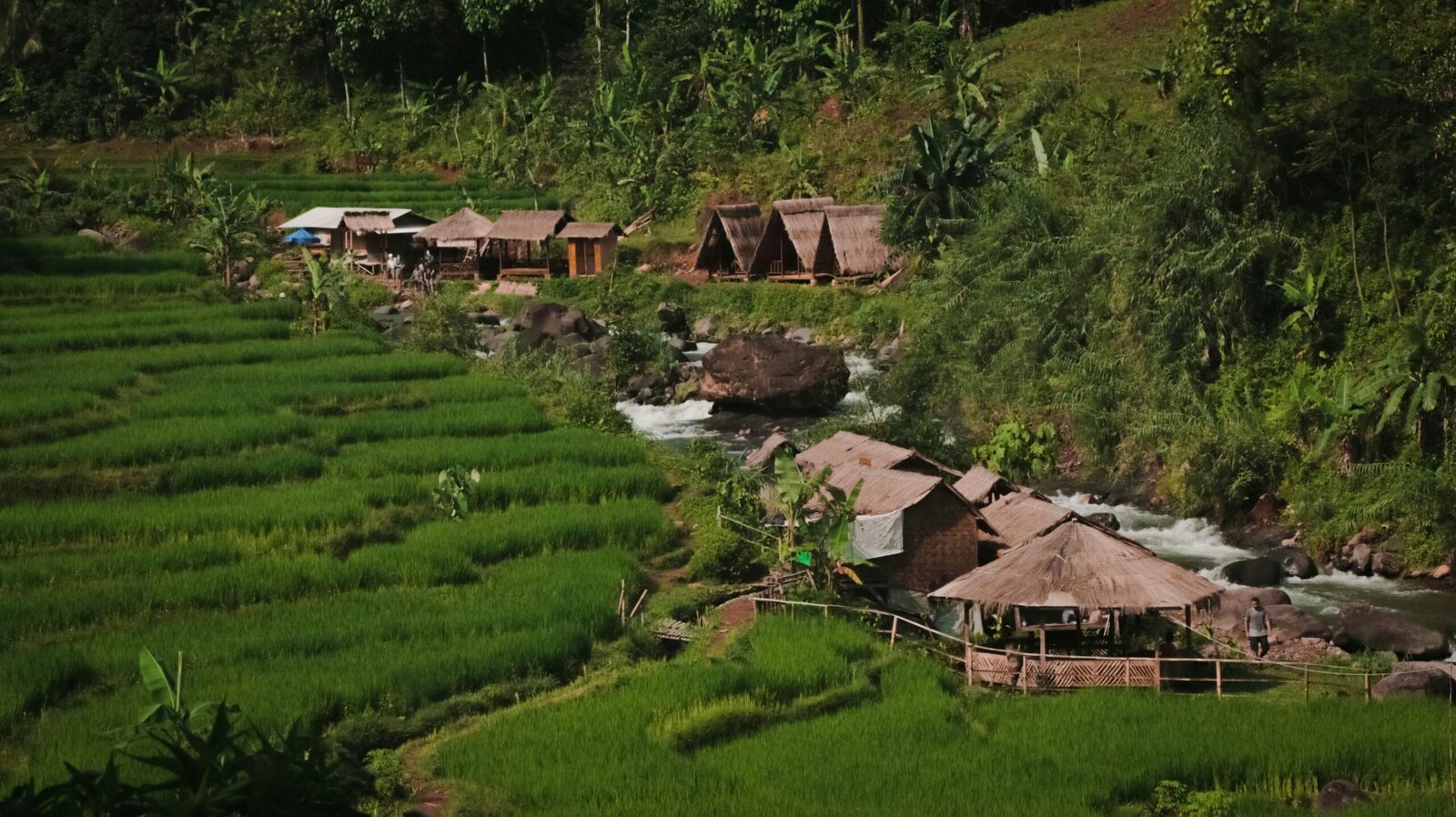 The Impact of Small Rice Mills on Local economies