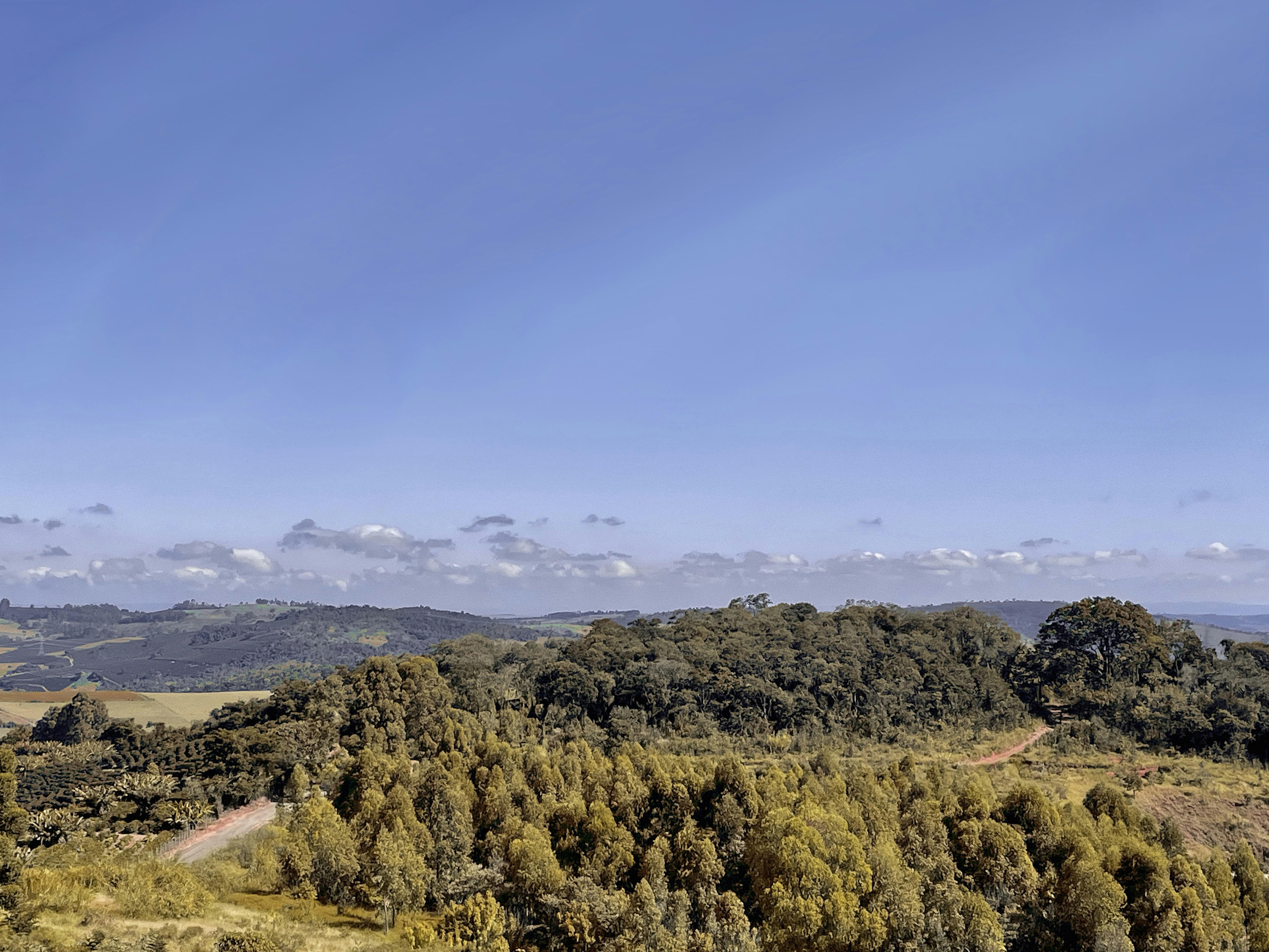 Understanding the Impact on Grain Quality and Nutrition