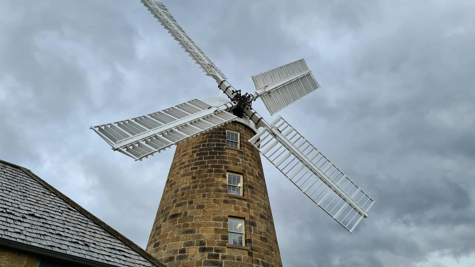 From Field to Flour: The Intricate Journey of Corn Processing 3 Flour Power: Assessing the Nutritional Impact of Corn Flour