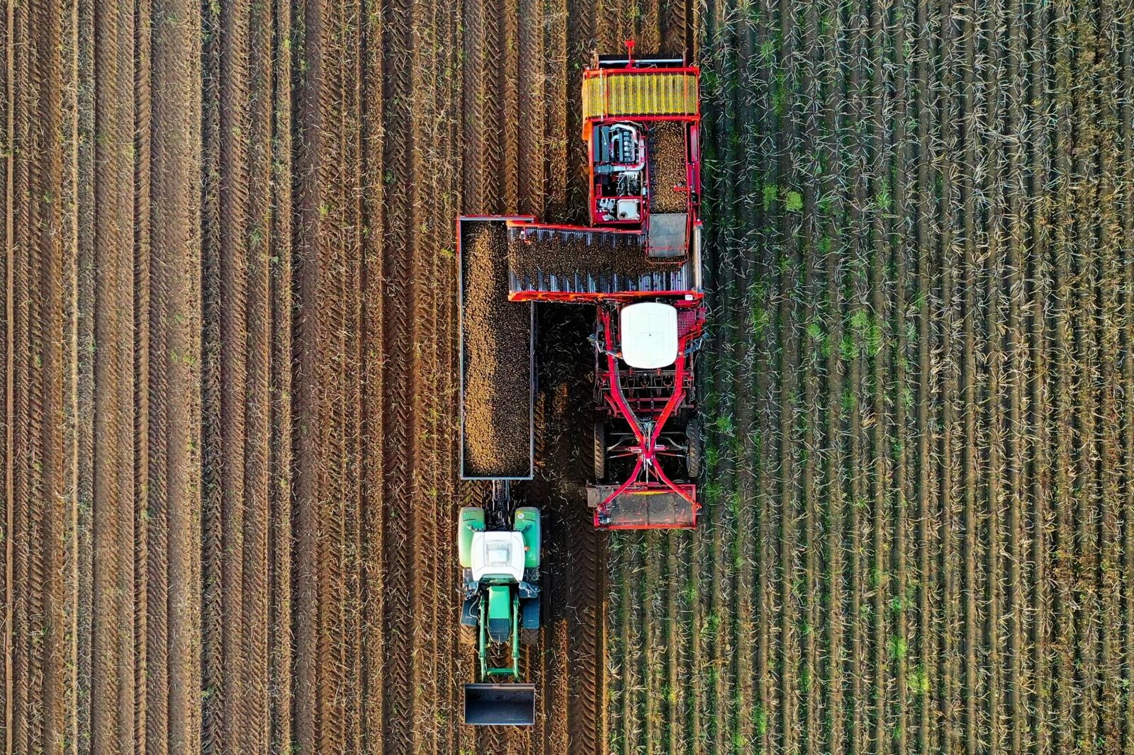 Unveiling the Heart of Harvest: The Chinese Rice Mill Journey 1 Harvesting Tradition and Innovation in Chinese Rice Milling