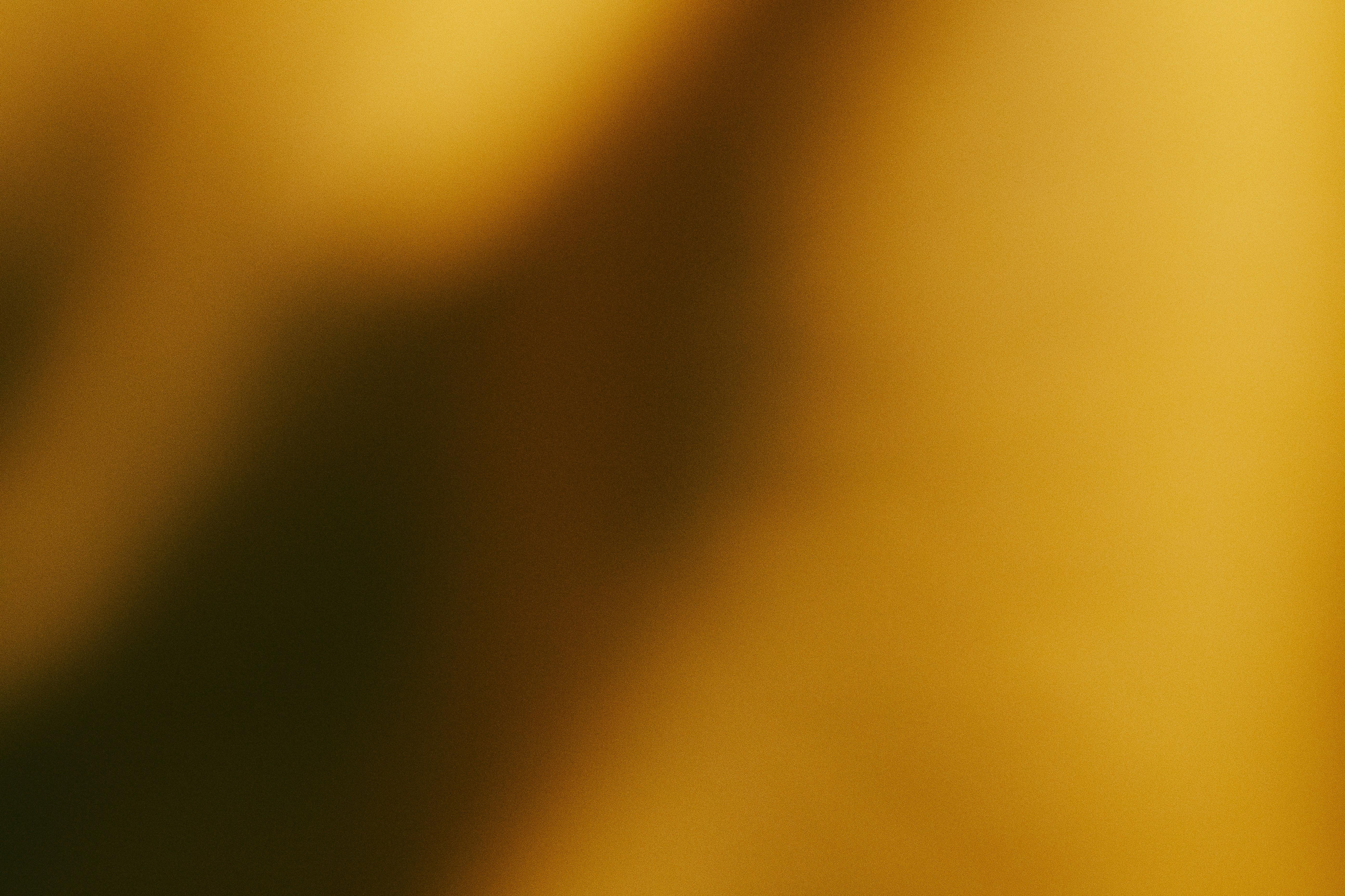 Unveiling the Essential Role of Rice Mills in Agriculture 2 Enhancing Food Security: The Contribution of Rice mills