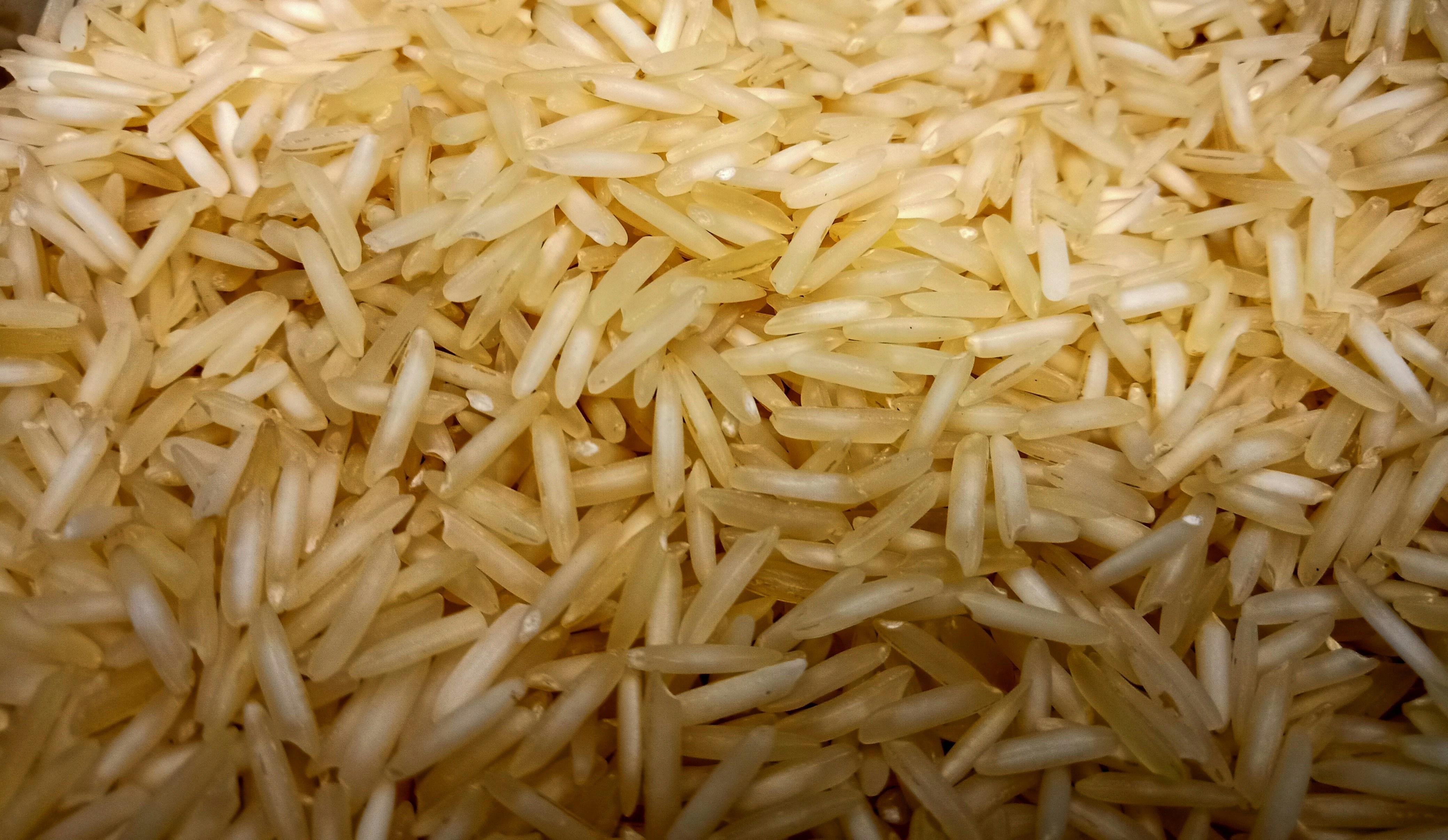 Understanding ⁤Rice‍ Varieties: Choosing⁣ the Right Grain ⁣for Your ‍Cuisine