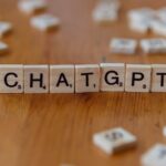 Transforming Grain: The Journey Inside a Paddy Processing Factory