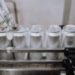 Inside the Paddy Processing Factory: From Field to Flour