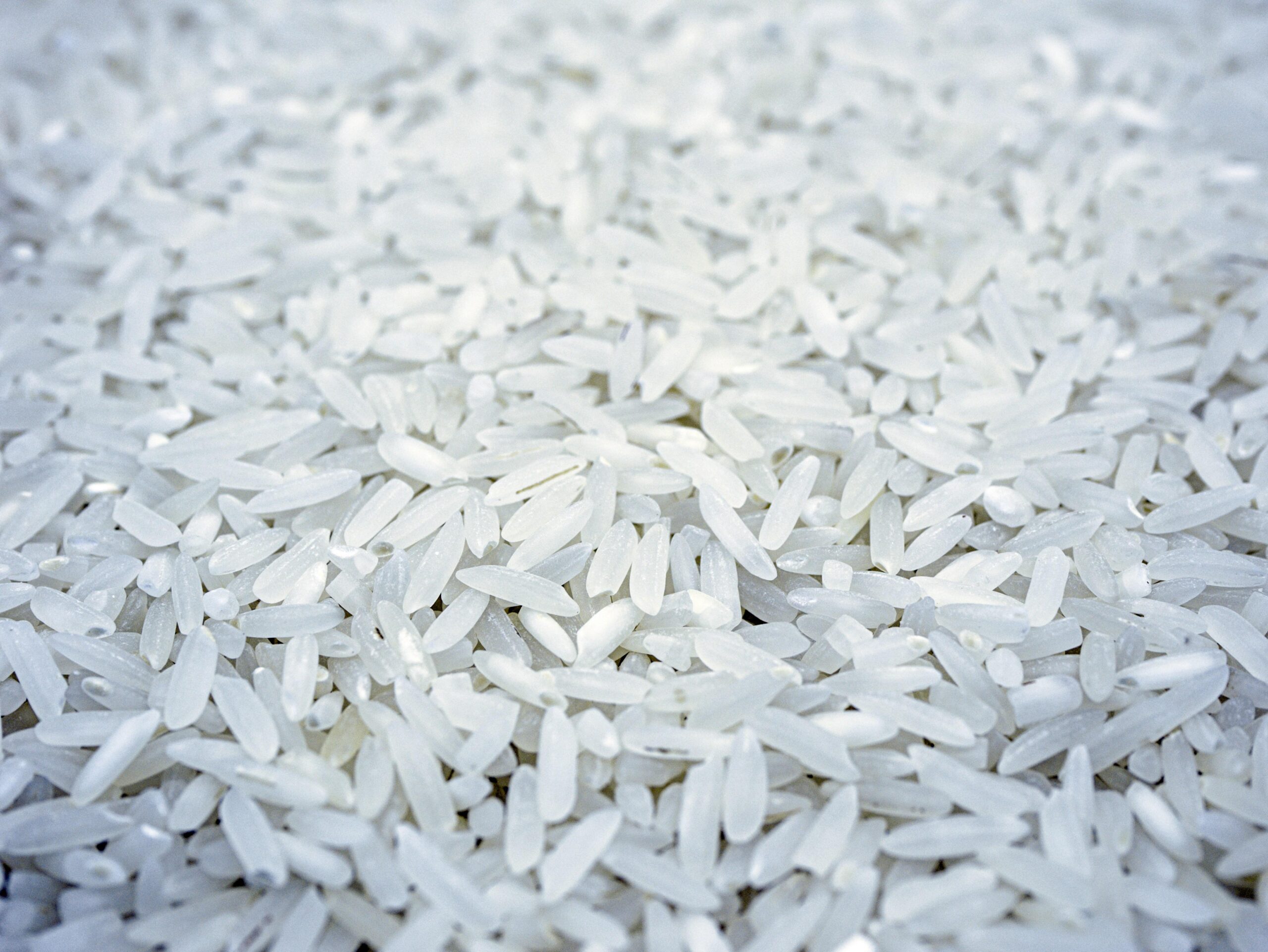 Unpacking the Impact of Commercial Rice Milling Machines