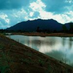 Unveiling the 2 Ton Rice Mill Plant: A Sustainable Future