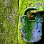 Unlocking Brilliance: The Art of Rice Polishing Explained