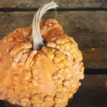 Transforming Harvests: Inside a Paddy Processing Plant