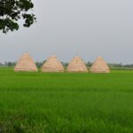 Top Rice Mills: Elevate Your Grain Game with Quality Choices