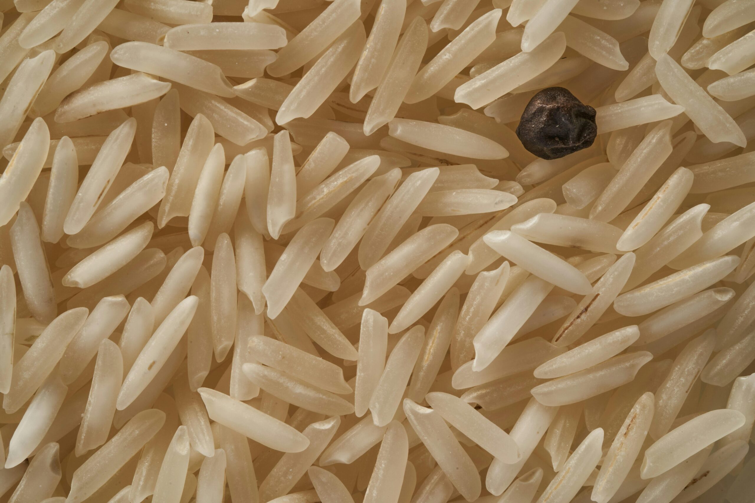 Unlocking Quality: Exploring Parboiled Rice Processing Plants