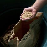 Transforming Grains: The Modern Rice Mill Revolution