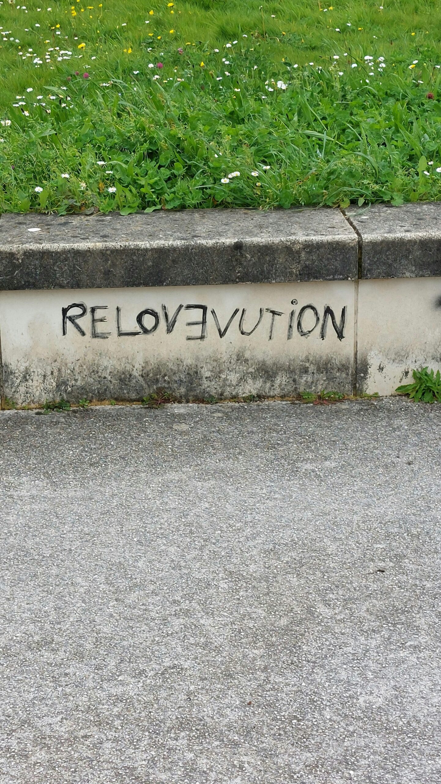 Revolutionizing Agriculture: The Benefits of Combined Mini Rice Mills