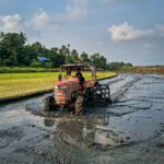 Unveiling Rice Machinery: Innovations in Grain Processing