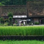Unlocking the Secrets of Modern Rice Mills: A Comprehensive Guide