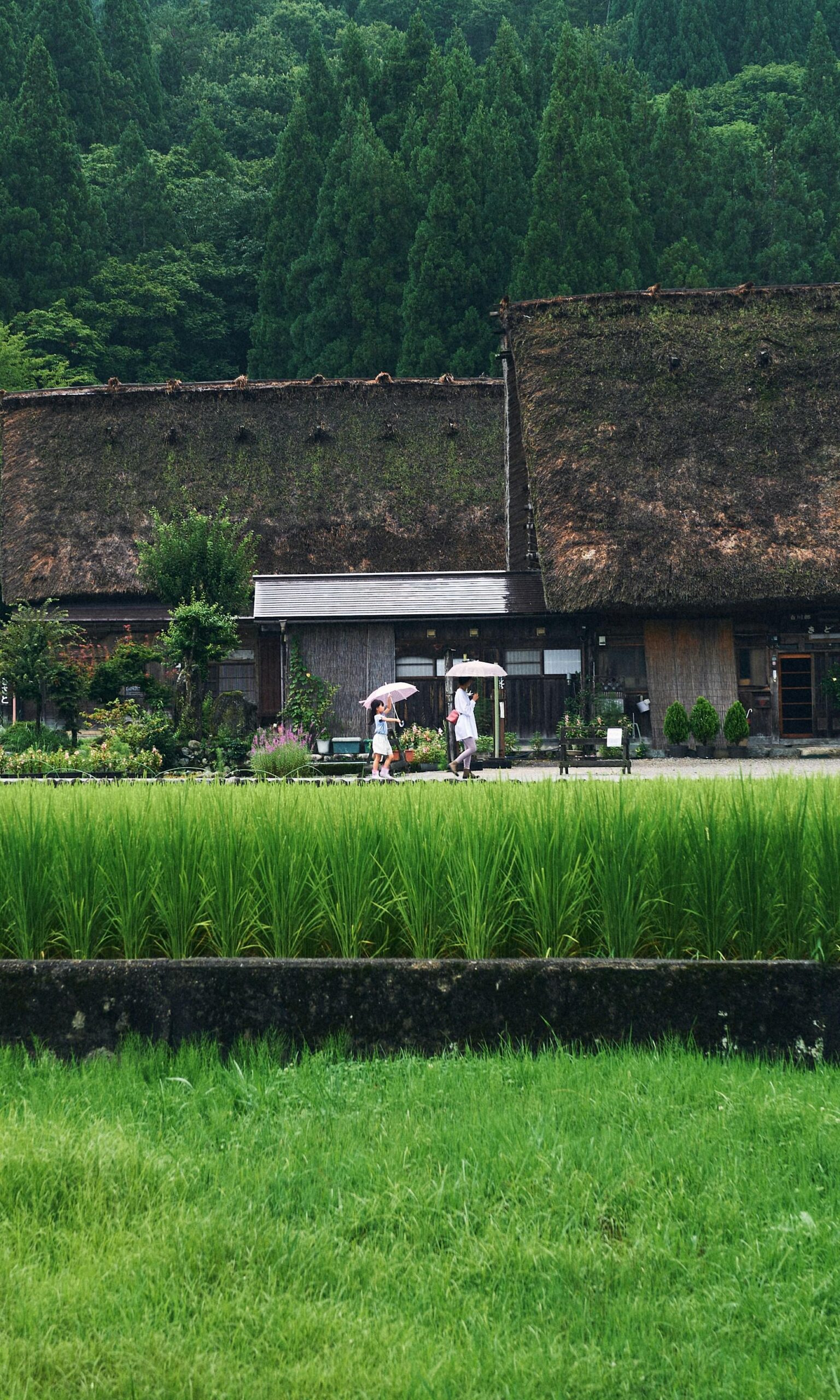 Unlocking the Secrets of Modern Rice Mills: A Comprehensive Guide