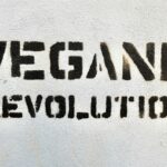 Revolutionizing Agriculture: The Evolution of Paddy Processing Machines