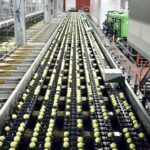 Revolutionizing Production: The Rise of Auto Rice Mills