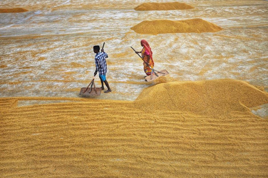 Unlocking Potential: The Rice Mill Plant Revolution