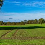 Transforming Agriculture: The 2 Ton Rice Mill Plant Project