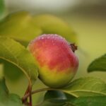 Transforming Harvests: The Journey Through a Paddy Processing Plant