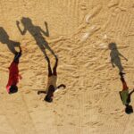 Unveiling the Rice Mill: Heartbeat of Grain Transformation