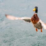 Launching Success: A 2 Ton Rice Mill Plant Project Overview