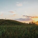 Small Wonders: The Rise of Mini Rice Mills in Modern Farming