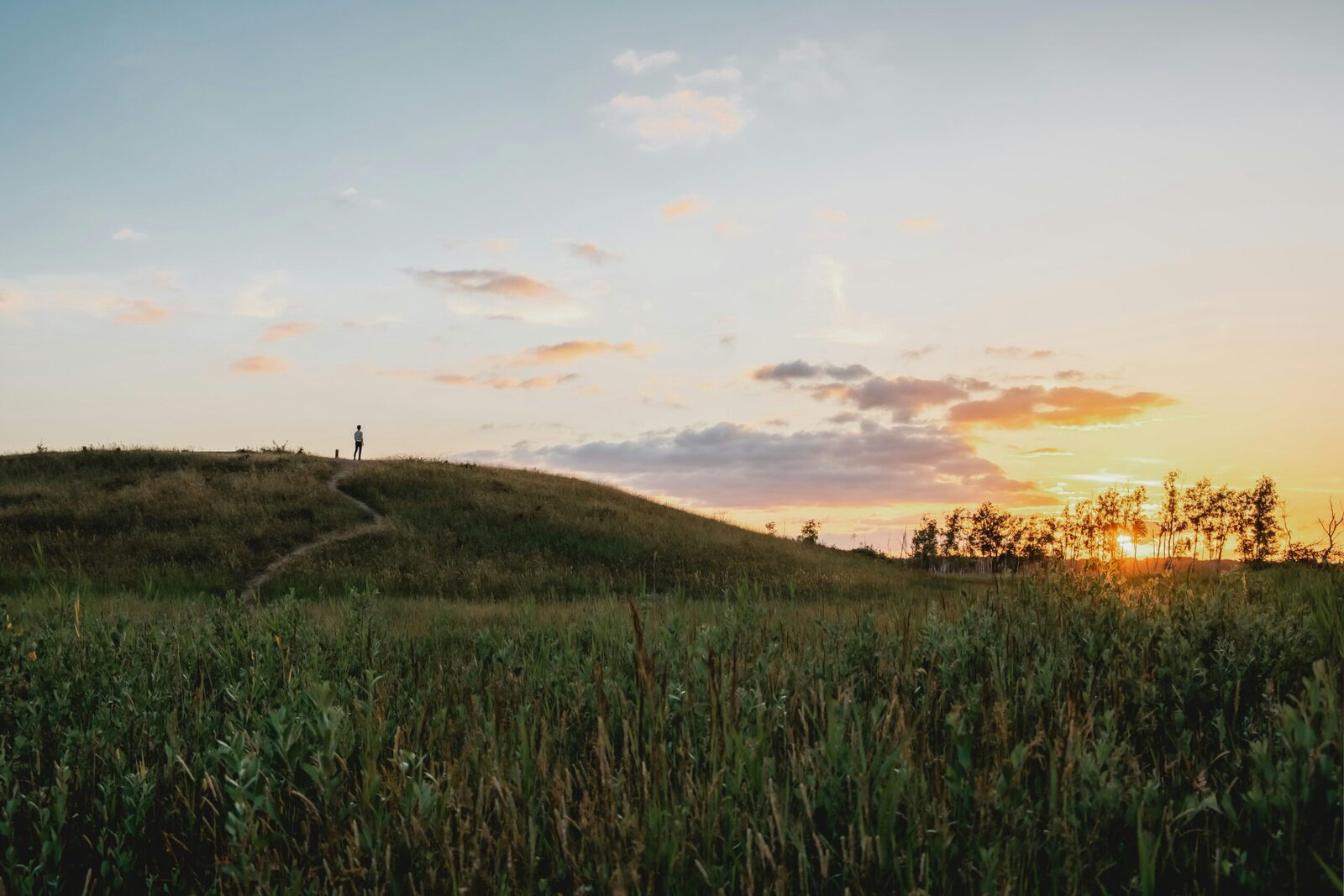 Small Wonders: The Rise of Mini Rice Mills in Modern Farming