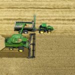 Transforming Grain: A Deep Dive into Rice Mill Plants