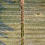 Efficient Farming: The Rise of Combined Mini Rice Mills