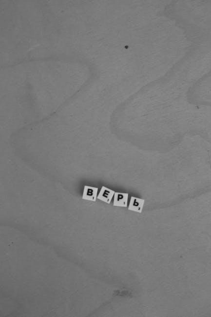 Unlocking the Potential: A Complete Guide to Rice Mill Plants