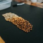 Revolutionizing Grain Perfection: The Mini Rice Polisher