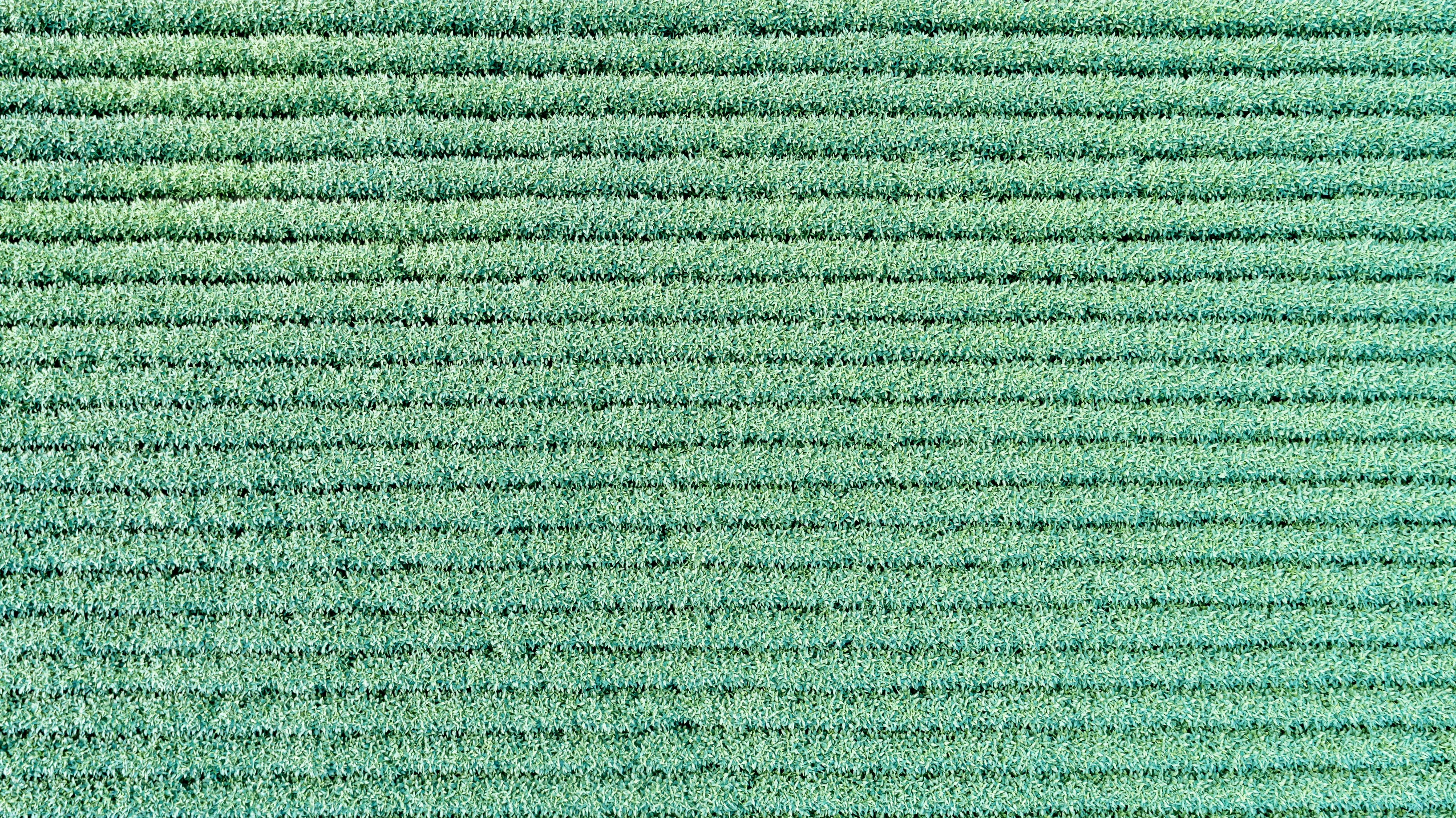 Precision Farming: The Impact of Technology‌ on Crop ‌Management