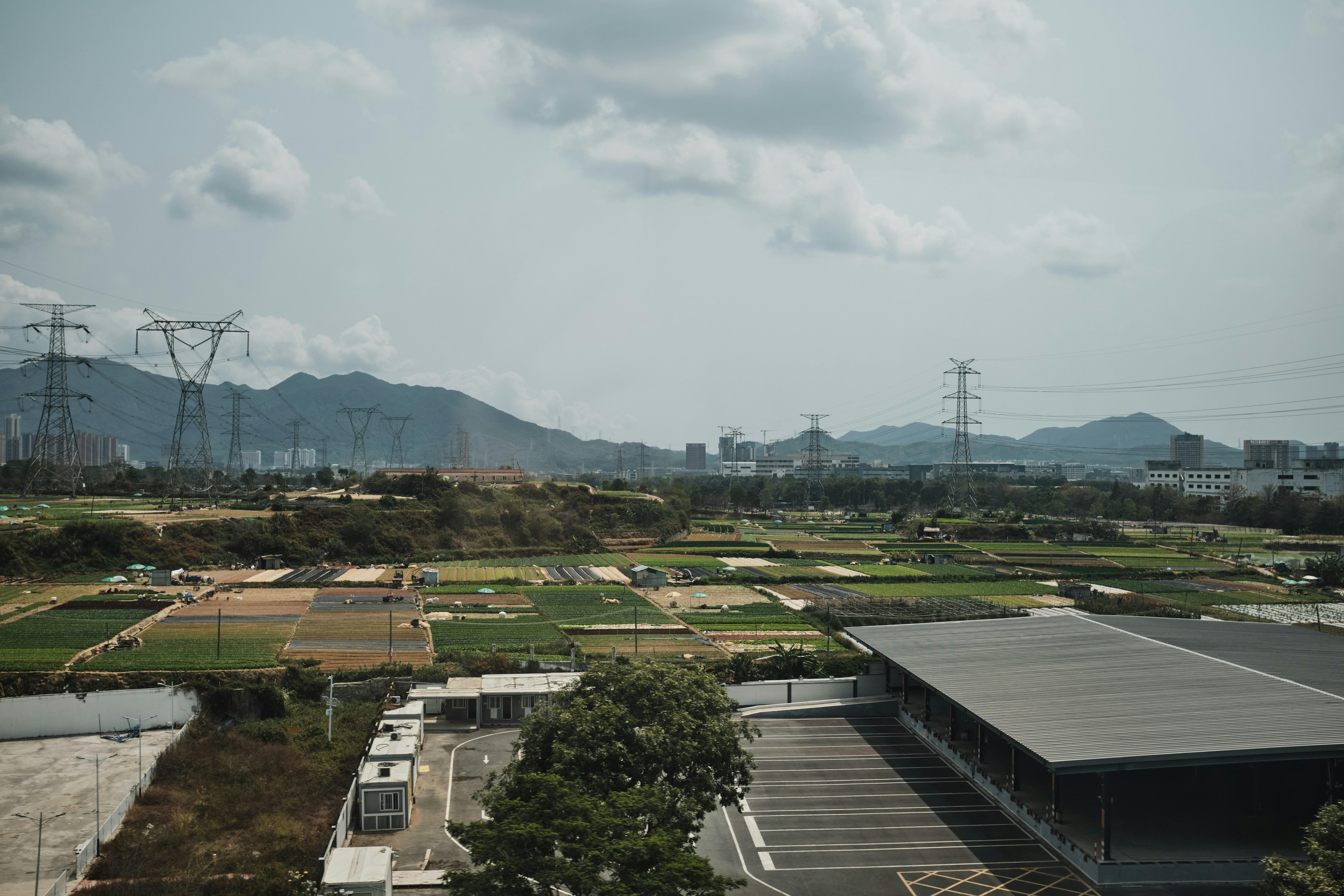 Exploring‌ the Impact of the 2-Ton Rice Mill plant on⁢ Local Agriculture