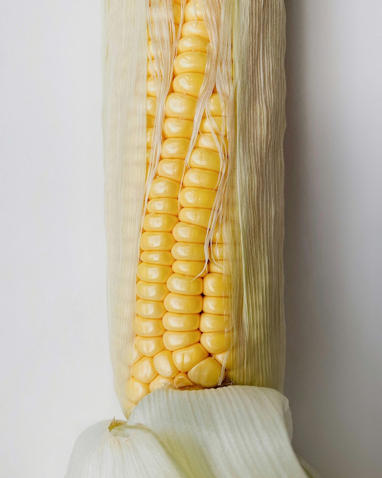 The Art and Science of Corn Processing: From Farm to Table 2 Understanding Corn Varieties: The Key to Optimal Processing Techniques