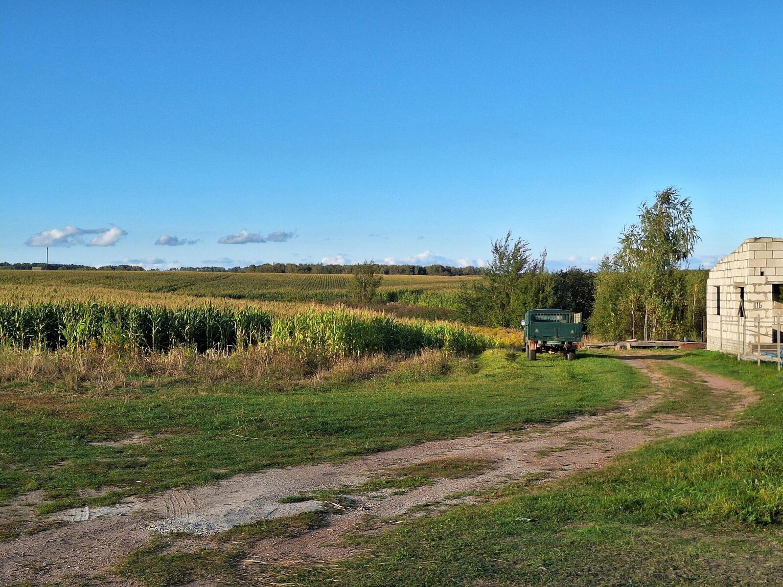Exploring the Agricultural ‌Foundations: The⁢ Role of Sustainable⁣ Corn farming