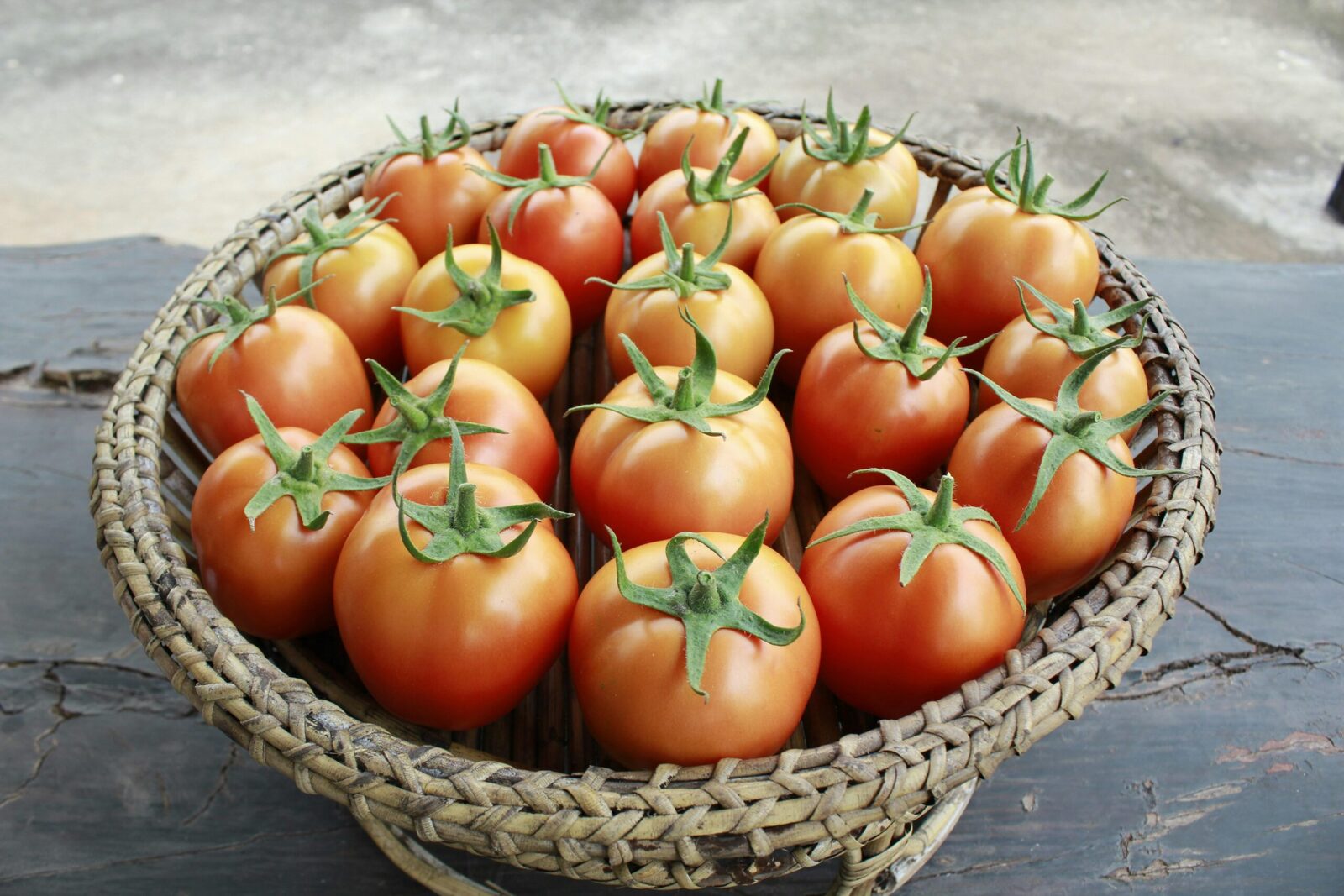 The Art and Science of Corn Processing: From Farm to Table 4 Sustainable Practices in Corn production: Balancing Quality with Environmental Responsibility