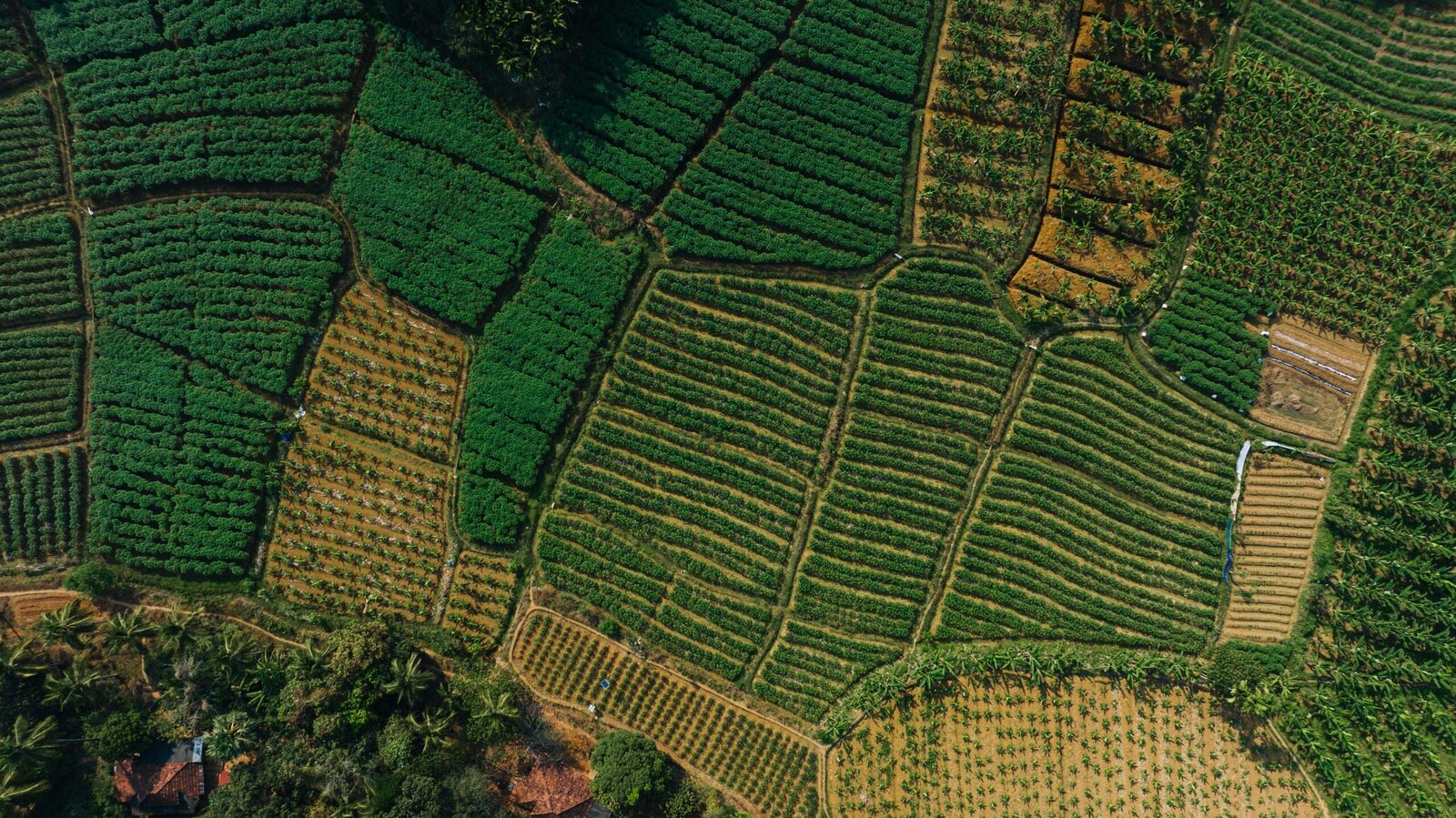 "The Art and Science of Cereal Milling: A Grain’s Journey" 4 Sustainable Practices in cereal Milling: Balancing Efficiency and Environmental Impact