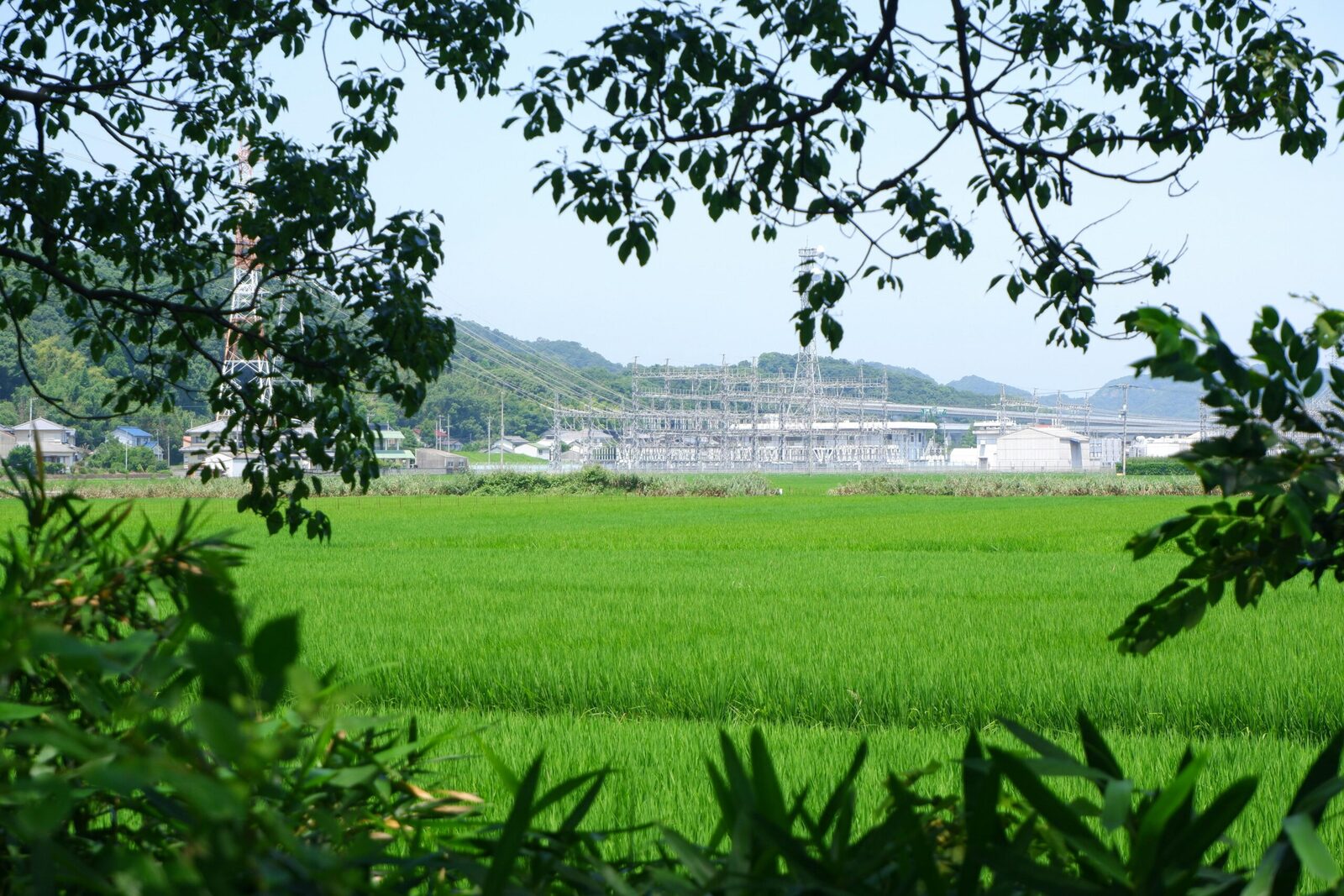 Unlocking Potential: A 2-Ton Rice Mill Plant Project Overview 1 Introduction to the 2-Ton Rice Mill Plant Concept and Its Significance