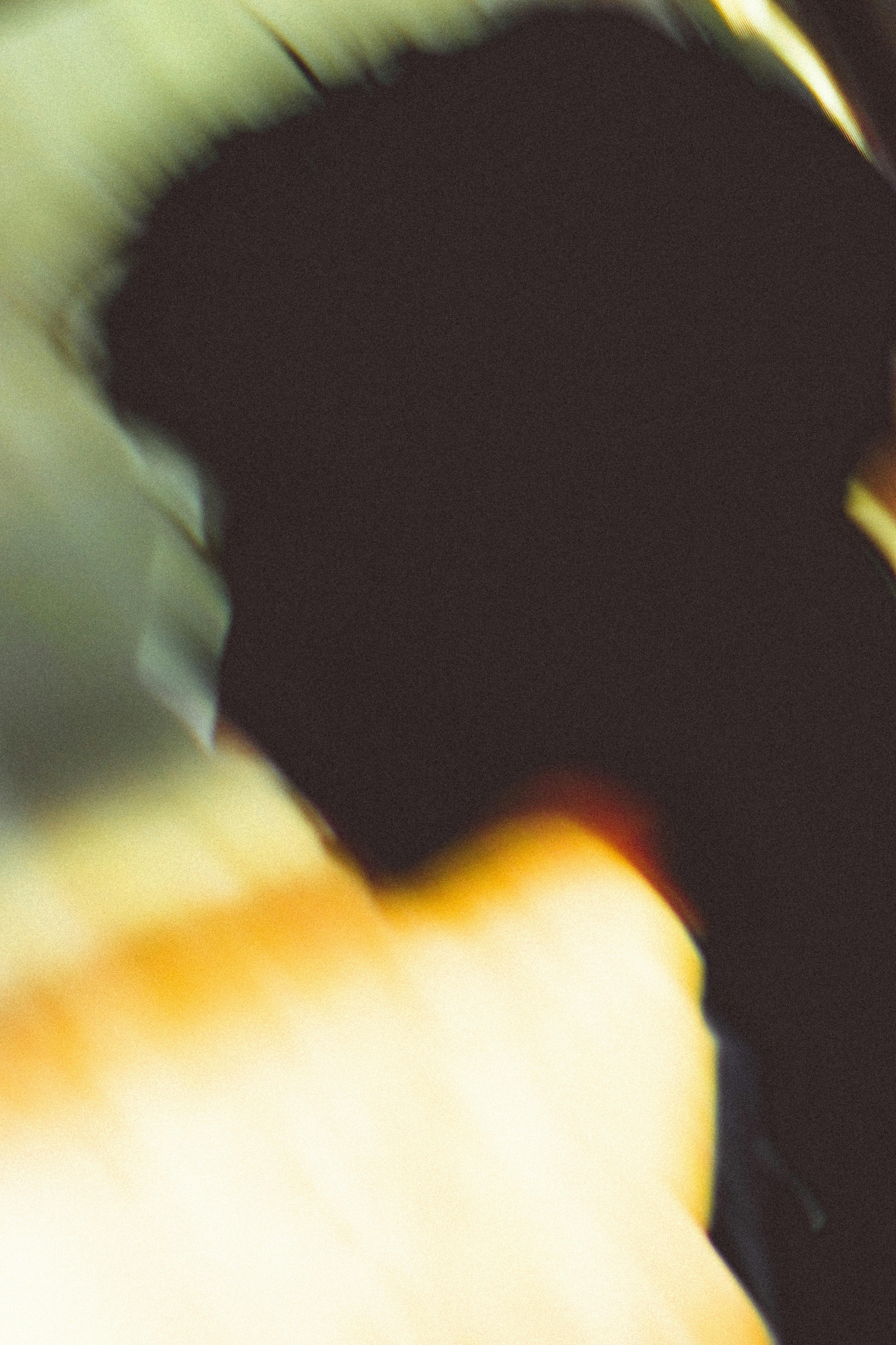 Understanding ⁢the Cost-Effectiveness of Modern Milling Technology