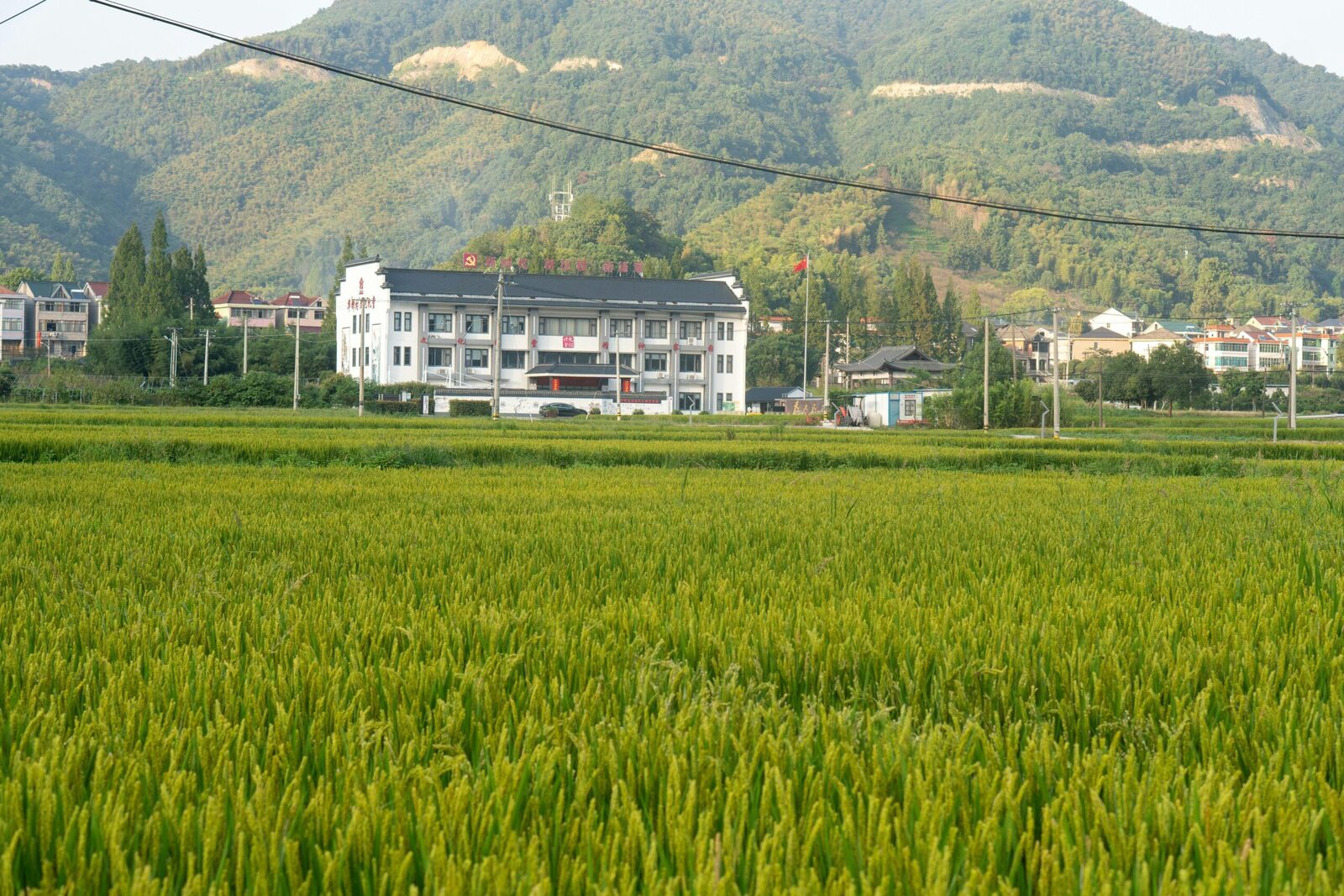 Boosting Efficiency: The Rise of Mini Rice Mill Plants 1 Exploring the Advantages of Mini rice Mill Plants in Modern Agriculture