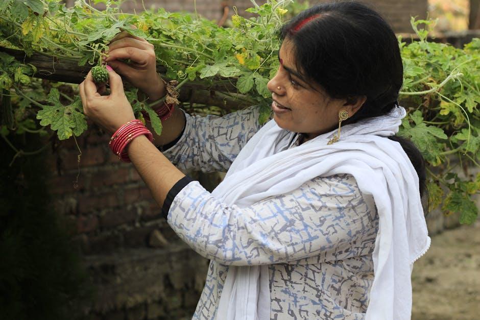 Transforming Smallholdings: The Impact of Combine Mini Rice Mills on Enduring Farming