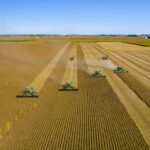 Streamlining Precision: The Rise of Combine Mini Rice Mills