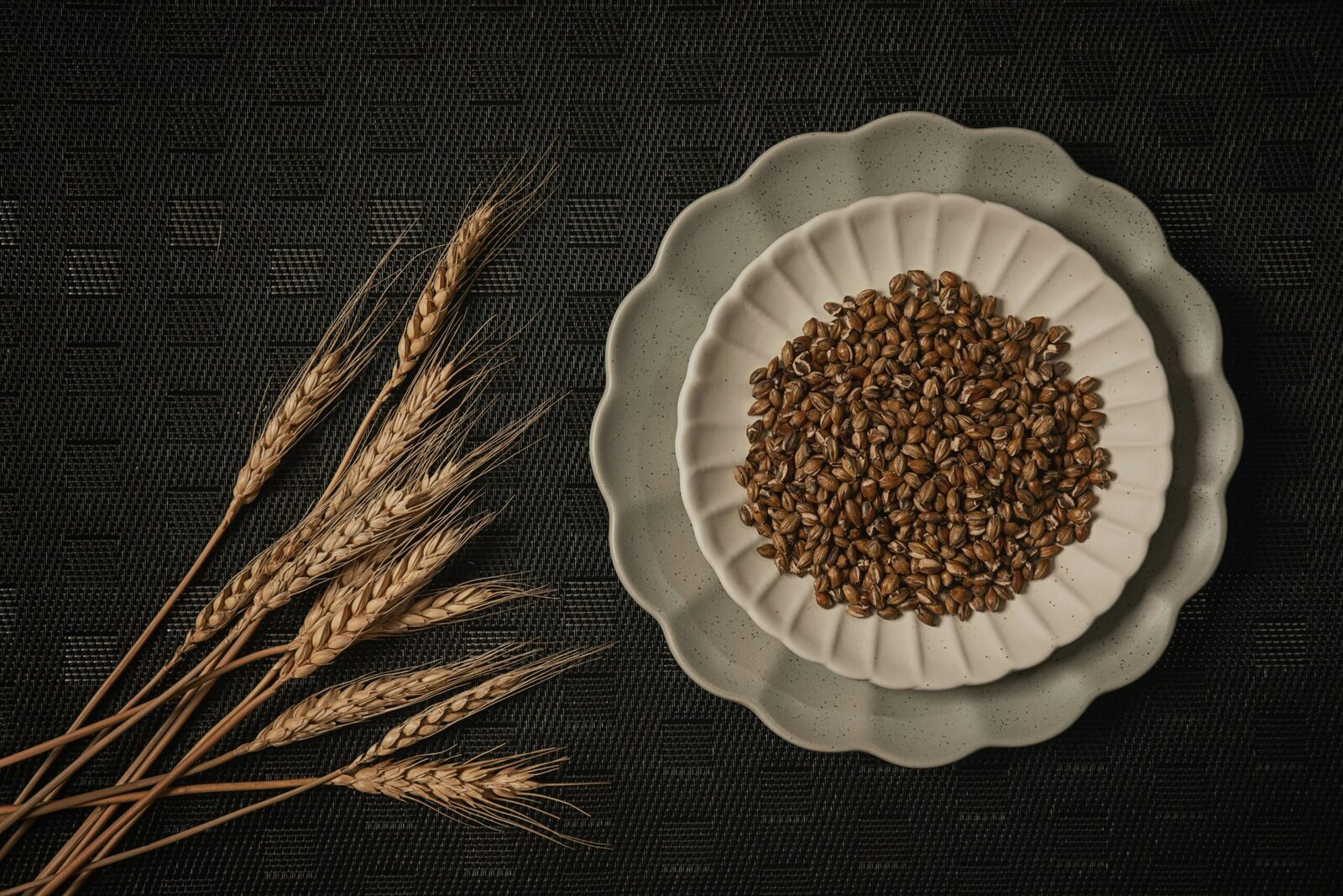 Transforming Grains: The Modern Paddy Processing Journey