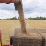 Streamlining Harvests: The Evolution of Combine Mini Rice Mills