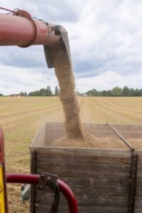 Home 17 Streamlining Harvests: The Evolution of Combine Mini Rice Mills