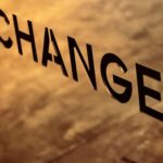 Transforming Grains: A Dive into Rice Processing Technology