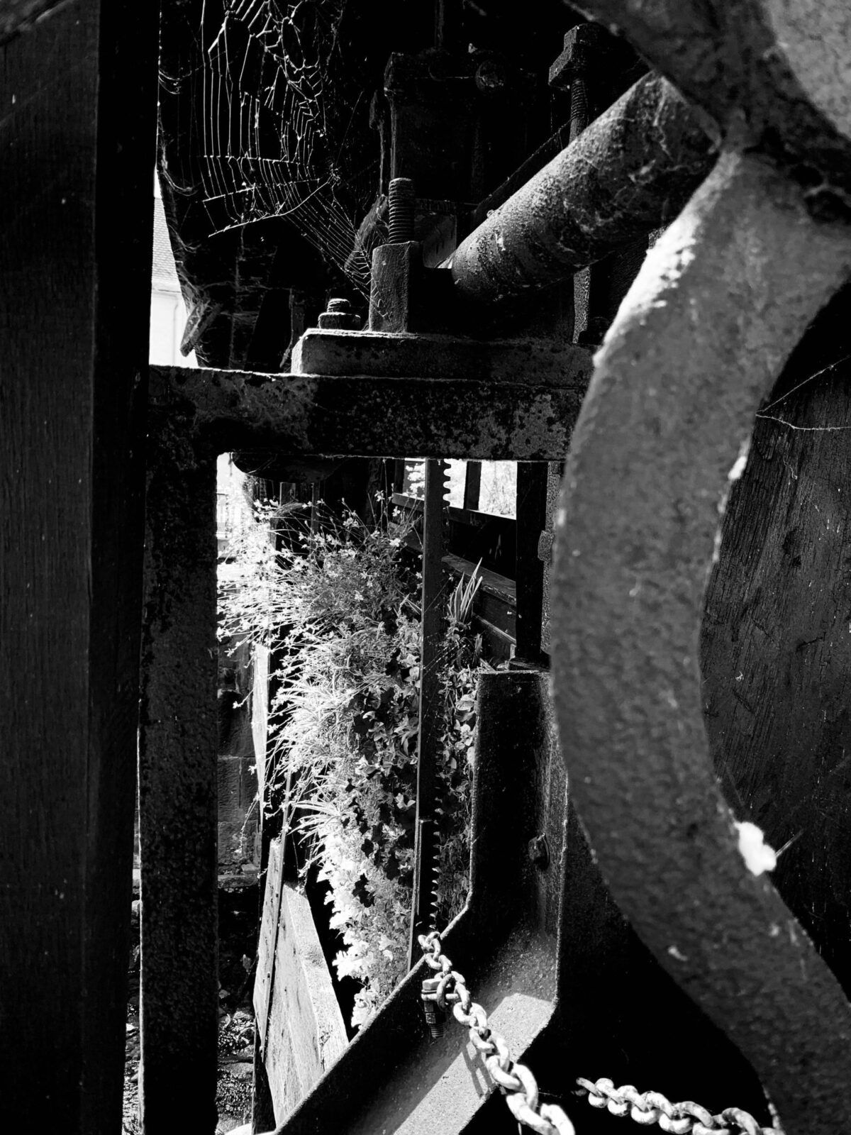 Unlocking Productivity: The Essentials of Rice Milling Units