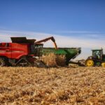 Revolutionizing Harvest: The All-in-One Rice Milling Machine